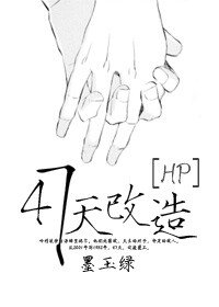 (BL/HP同人)47天改造